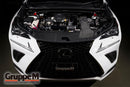 Lexus | NX300 | Model: AGZ10/15 | EG Model: 8AR-FTS | 2.0TURBO | (17-21) | FR-0132